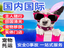 布拉克机场快运国际宠物托运 【国